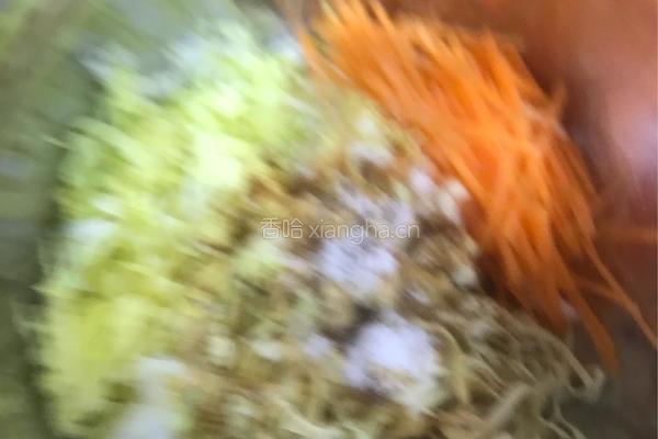 朝鲜族拌干豆腐的做法图解5