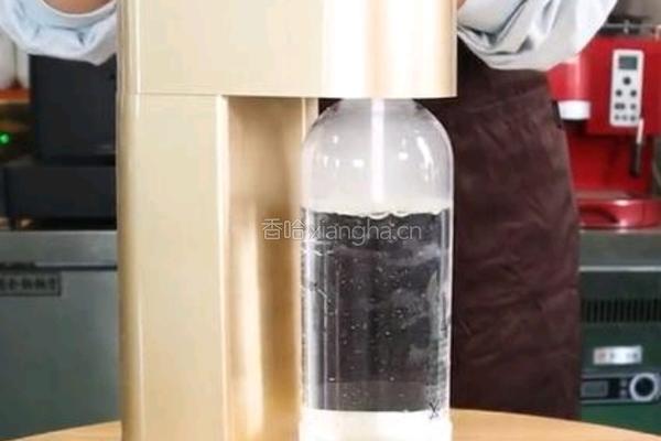 夏日冰饮｜桃气泡泡的做法图解1