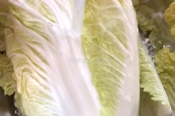 白菜肉卷的做法图解1