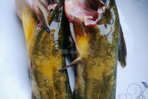 昂刺鱼豆腐汤的做法图解1