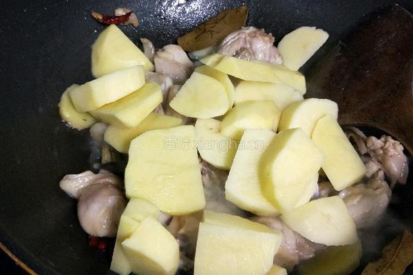 土豆焖鸡的做法图解7
