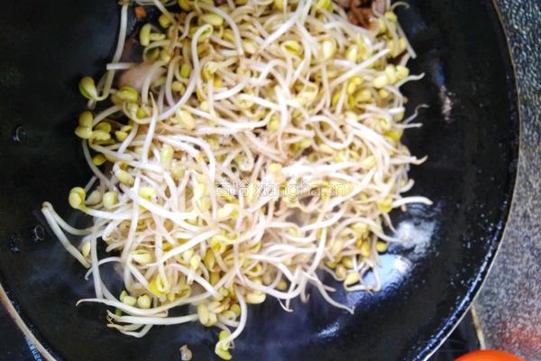 肉炒黄豆芽的做法图解4