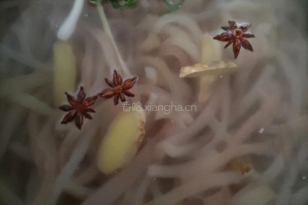 水晶猪皮冻的做法图解4