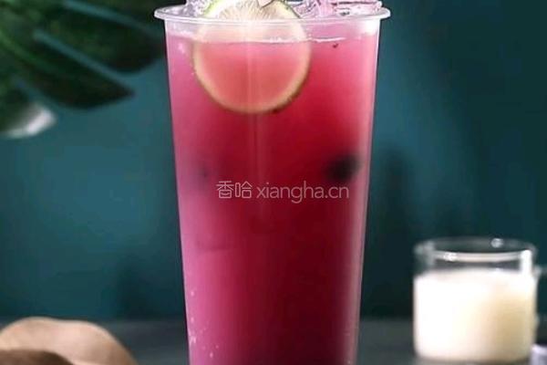 桑葚果酸乳的做法图解9