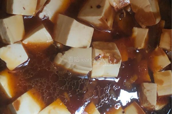 红烧豆腐的做法图解5