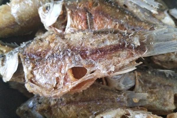 香酥小鲫鱼的做法图解3