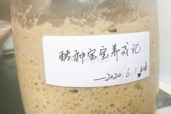 可爱蝴蝶结面包的做法图解1