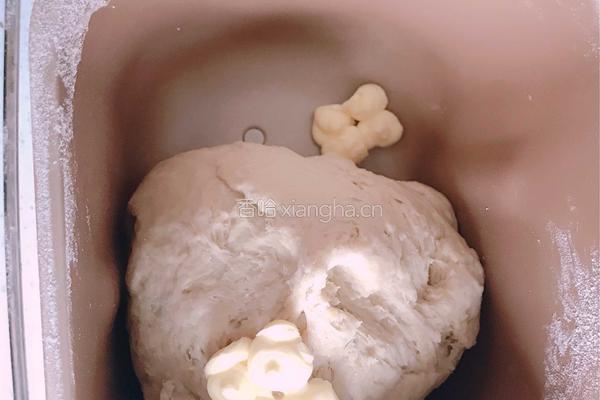 低脂土豆全麦欧包的做法图解6