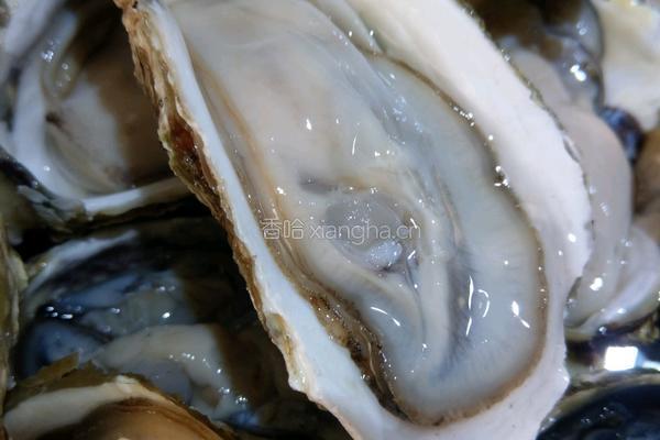蒜蓉粉丝生蚝的做法图解1