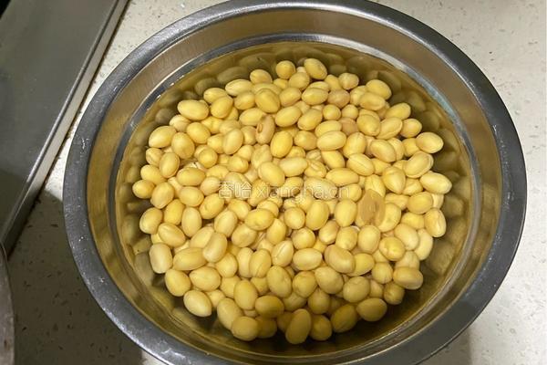 苦瓜黄豆排骨煲的做法图解3