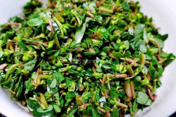 香嫩马齿笕菜饼的做法图解3