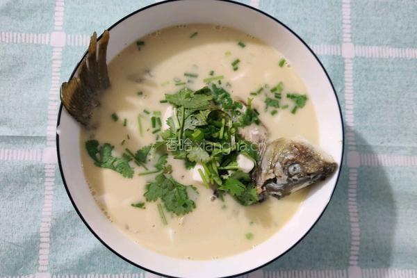 鲫鱼豆腐汤的做法图解8
