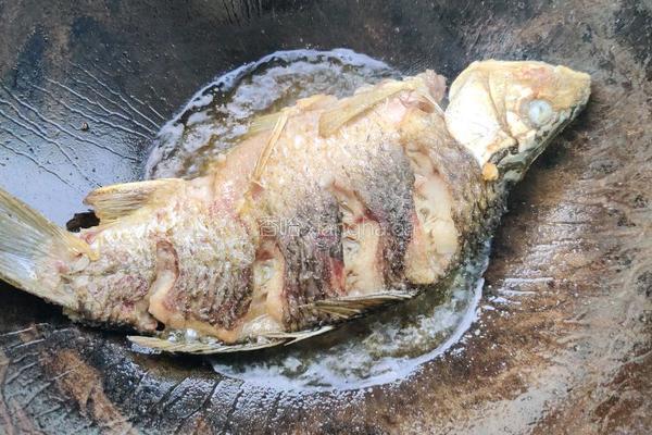 鲫鱼豆腐汤的做法图解6