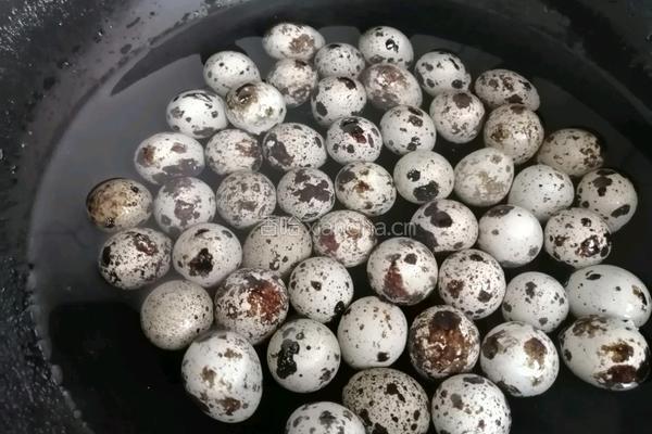 香卤鹌鹑蛋的做法图解2