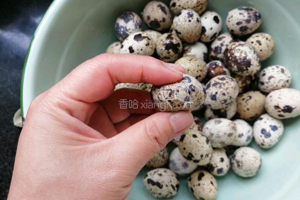 香卤鹌鹑蛋的做法图解4