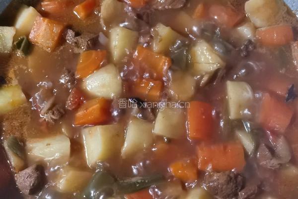 胡萝卜土豆炖牛肉的做法图解6