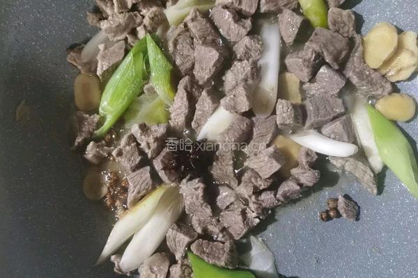 胡萝卜土豆炖牛肉的做法图解3
