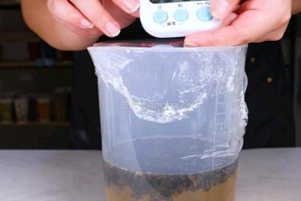 茶饮备料6 四季春茶底的做法图解5