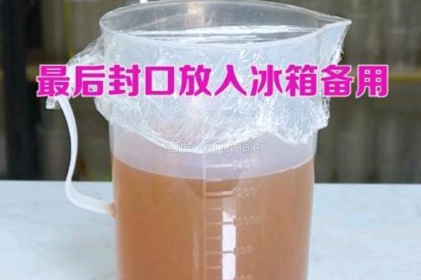茶饮备料6 四季春茶底的做法图解9