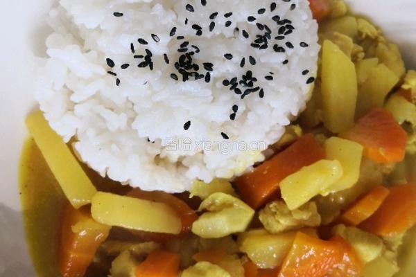 咖喱鸡肉饭的做法图解12