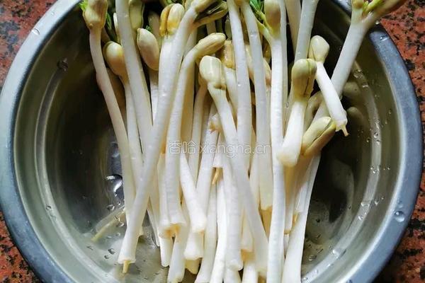 凉拌花生芽的做法图解2