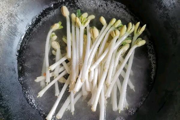 凉拌花生芽的做法图解3