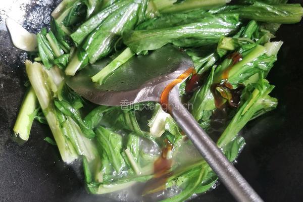 清炒苦麦菜的做法图解5