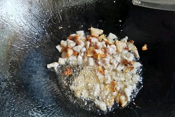 瘦肉焖冬瓜的做法图解3