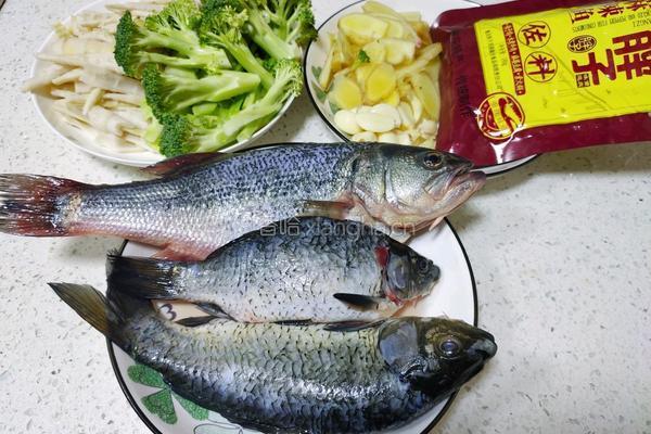麻辣竹笋鱼的做法图解1