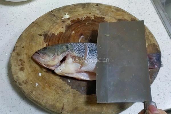 麻辣竹笋鱼的做法图解2