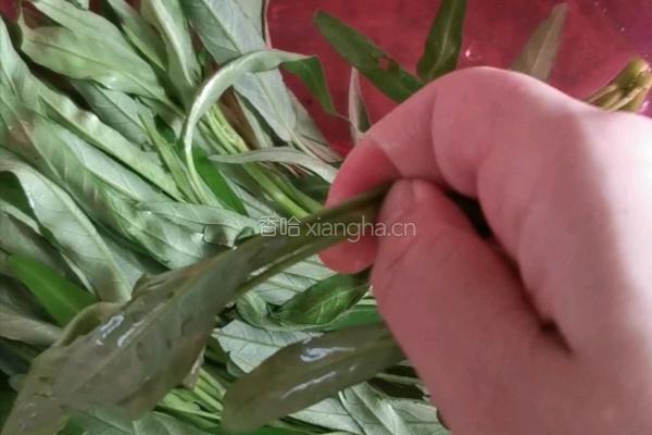 剁椒空心菜的做法图解2