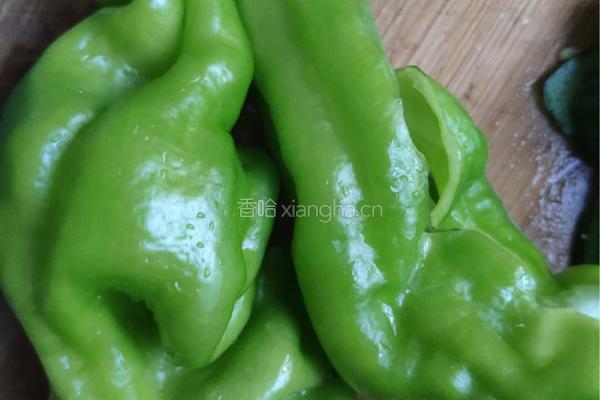 爆炒毛肚的做法图解2