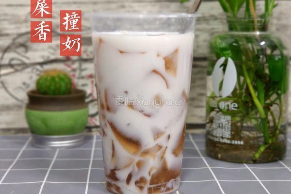 鸭屎香撞奶的做法图解7