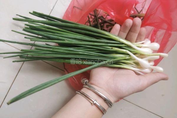 凉拌小葱的做法图解1