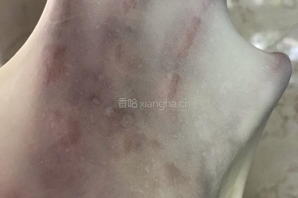 马里苏拉芝士肉松面包的做法图解4