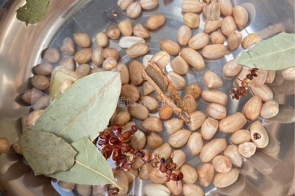 拌芹菜五香花生米的做法图解4