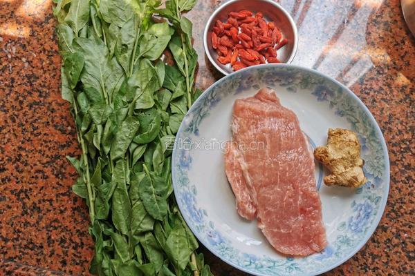 枸杞叶瘦肉汤的做法图解1