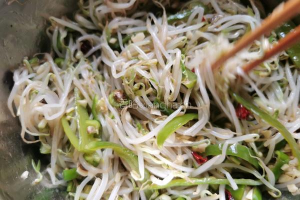 凉拌绿豆芽的做法图解6