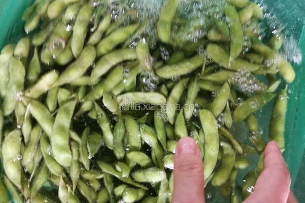 盐水毛豆的做法图解2
