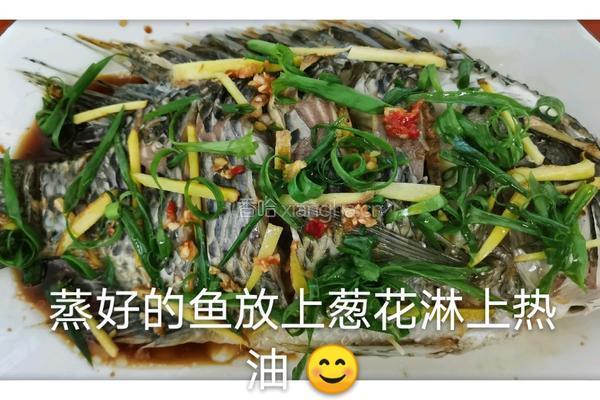 清蒸福寿鱼的做法图解4