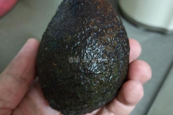 牛油果奶昔的做法图解1