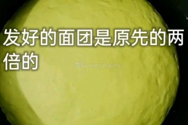 菠菜发面小饼的做法图解4
