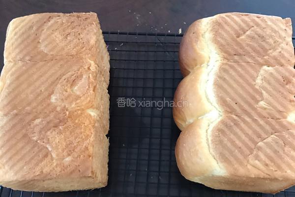 中种超软土司面包的做法图解15