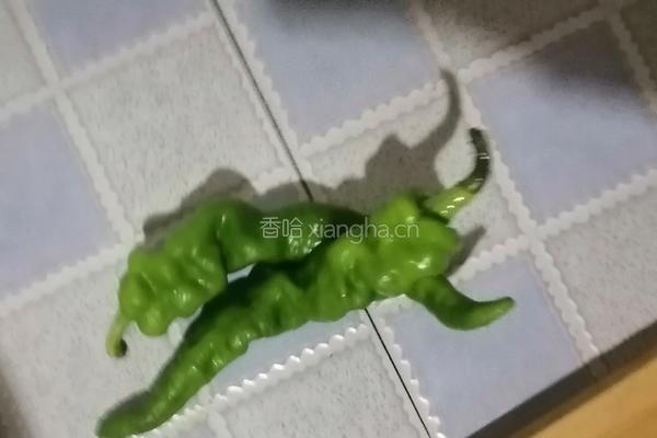 螺丝椒炒烟鸭肉的做法图解2