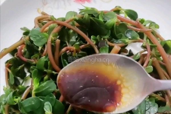 凉马齿笕的做法图解11