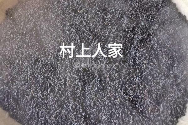九蒸九晒黑芝麻丸的做法图解2