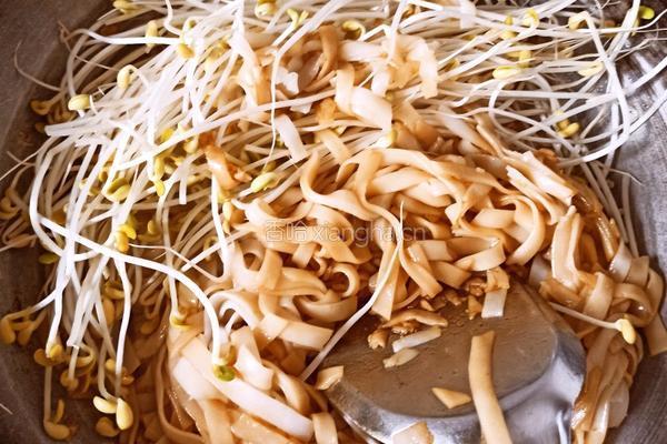 干炒牛河的做法图解5
