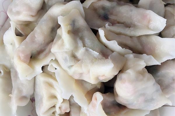包心菜木耳海米素馅饺子的做法图解8