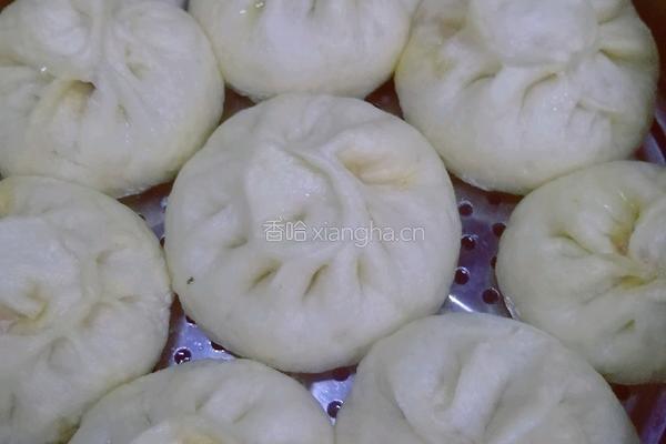 白莱肉包的做法图解10