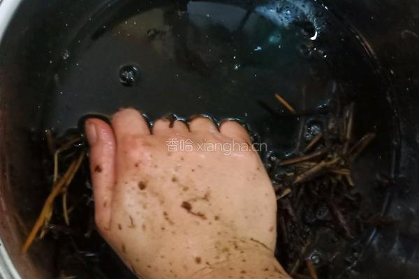 手工熬制仙草的做法图解4